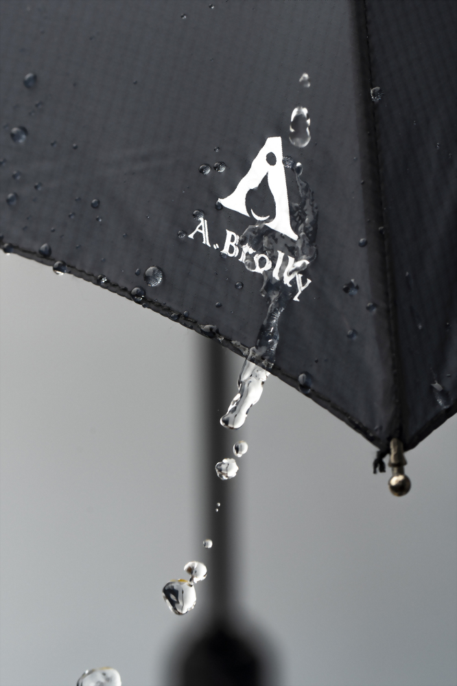 Custom Umbrellas with Logo