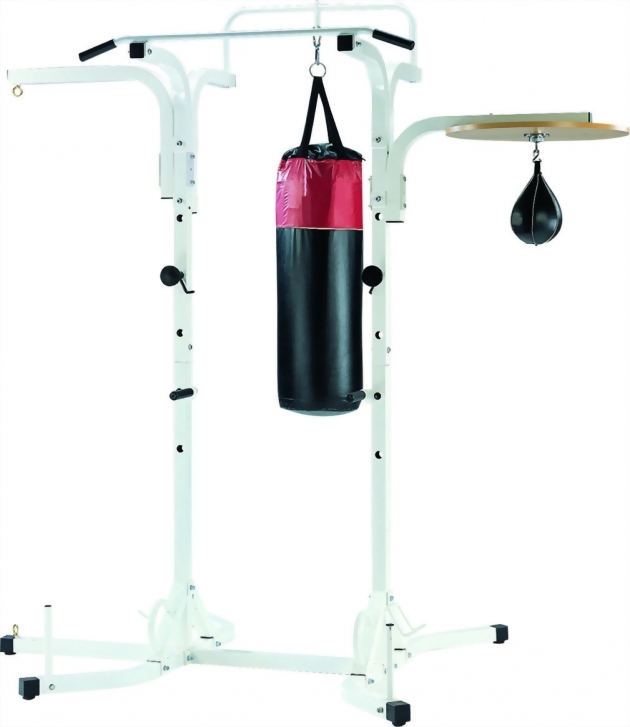 Boxing Standings