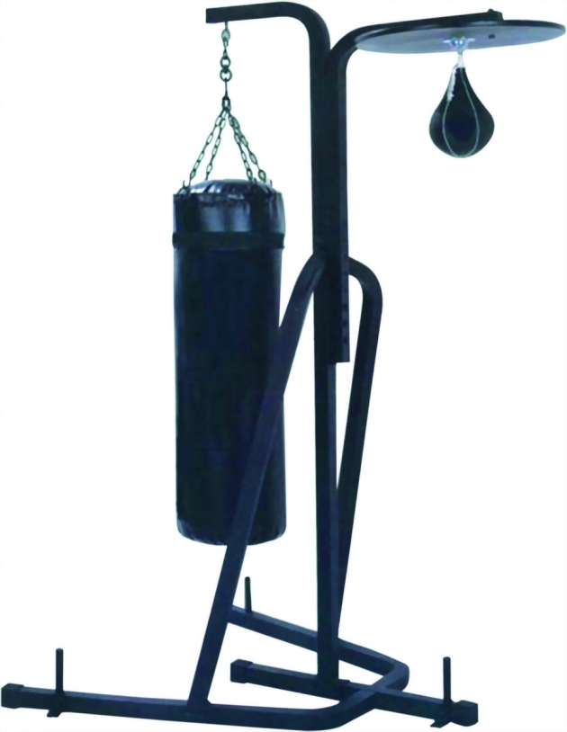 Boxing Standings