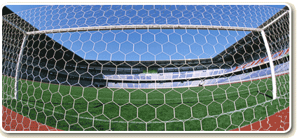 Hexagonal mesh
