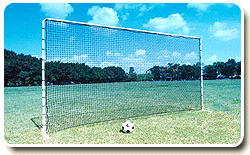 Training Goals /Nets