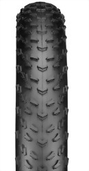 Bicycle Fat Tires