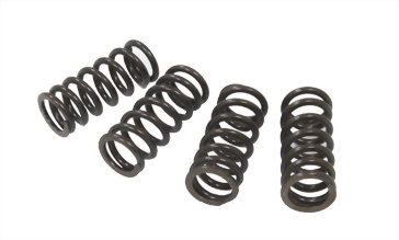 DOHC VALVE SPRING