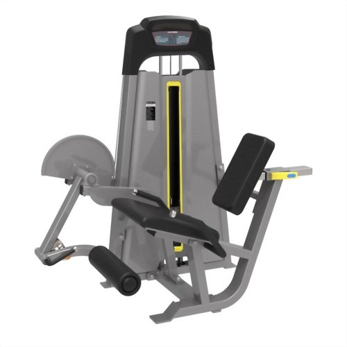 Leg Extension