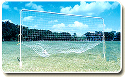 Training Goals /Nets