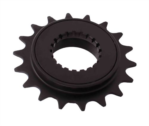 Single Speed Freewheel