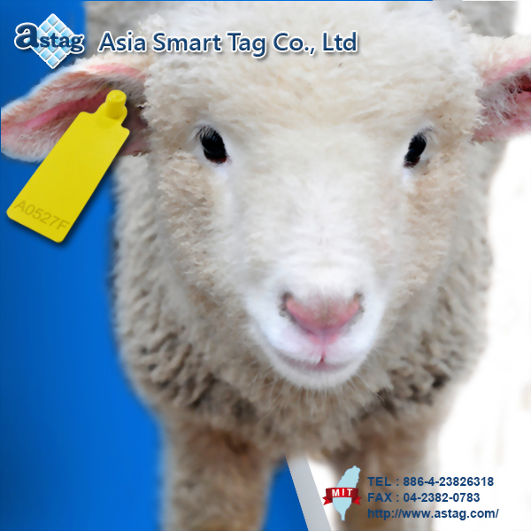 Sheep Ear Tag (HF)