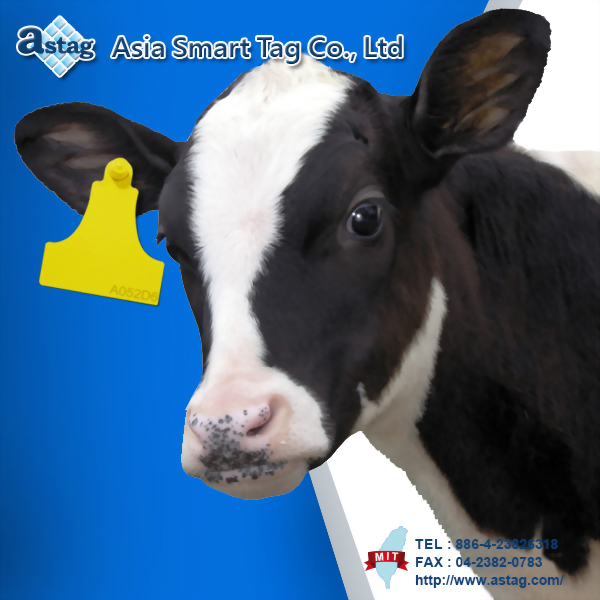 Cattle Ear Tag(UHF)