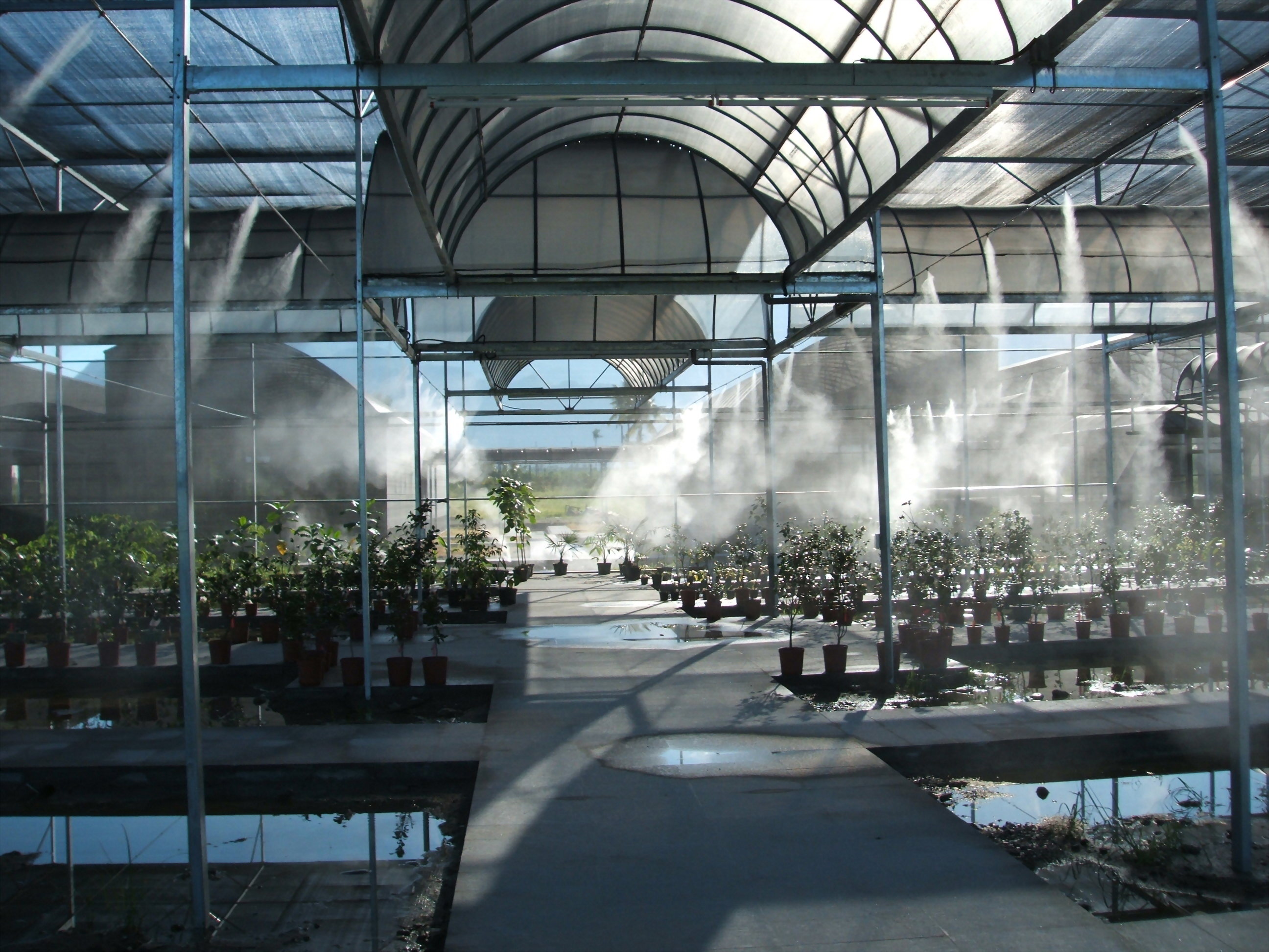 溫室加濕機-蘭花調濕-安心企業