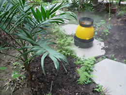 室內栽培場-噴霧消毒-安心企業