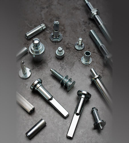 Stainless Steel Screws