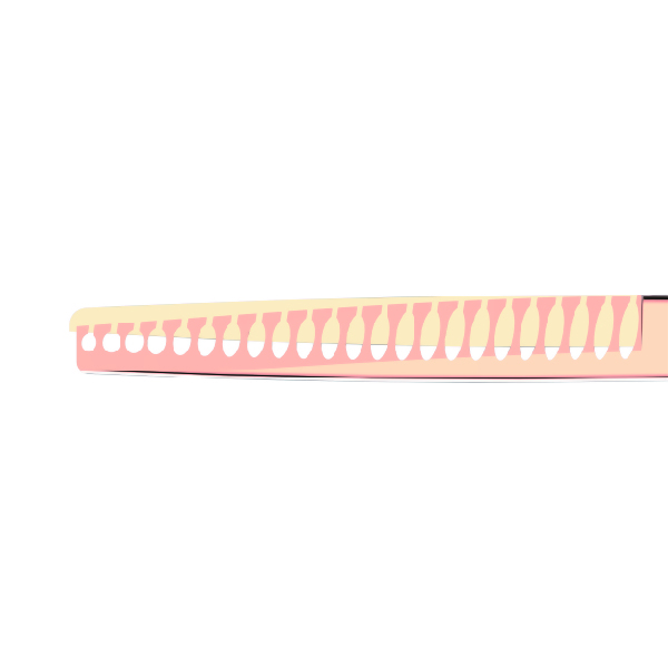 7.5" Blender Shear-WBRG0750-21 teeth, Rose Gold