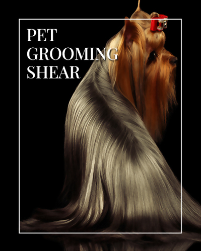 Pet Grooming Shear