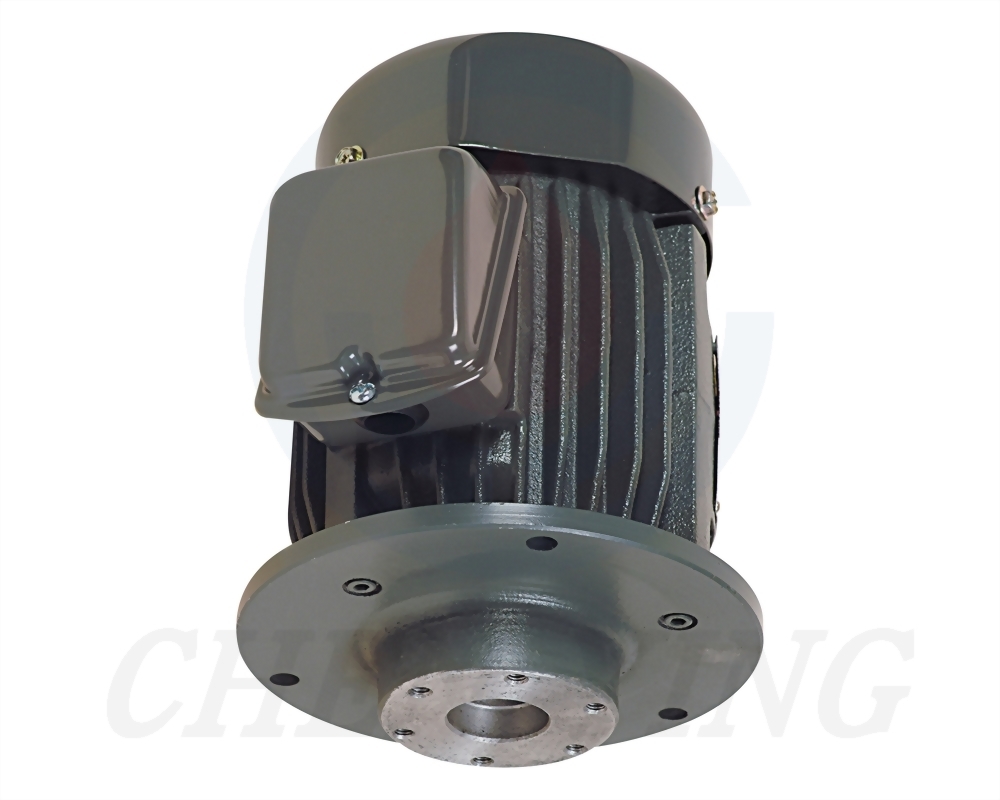 Cast Iron Frame Vertical Motor