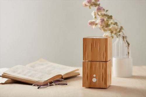 Carved Aroma Diffuser