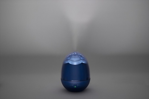 Camellia humidifier