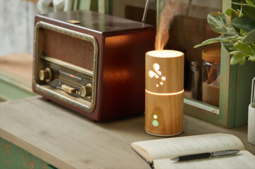 Jen-Jie Aroma Diffuser Catalog