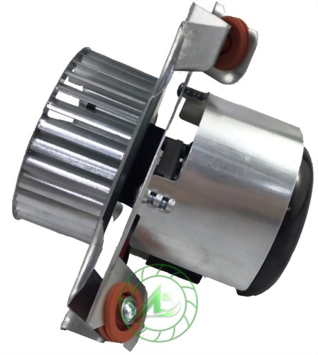 Blower Fan Motor