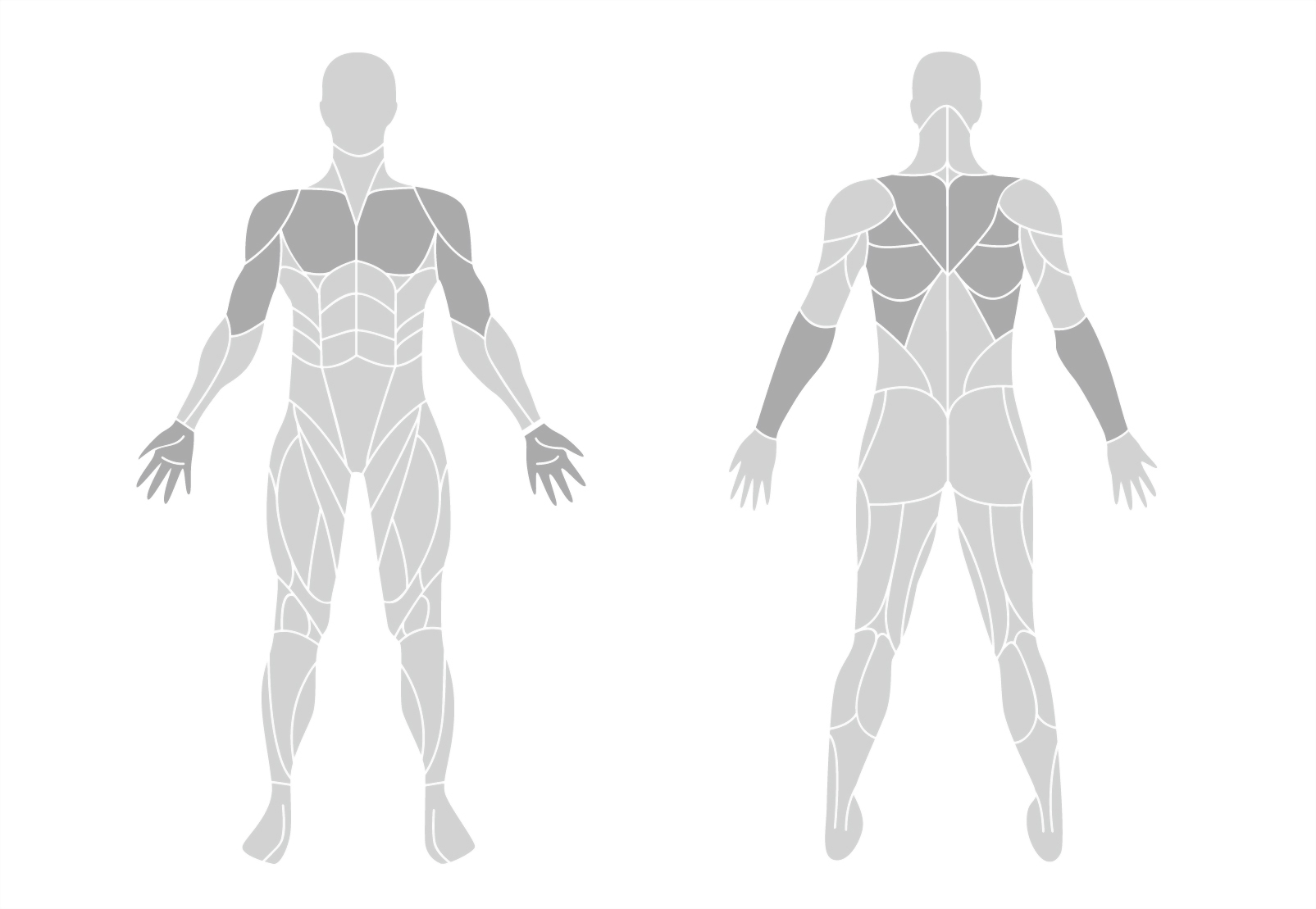 Isokinetic Pec Dec / Fly training