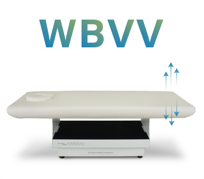 Whole Body Vertical Vibration Bed