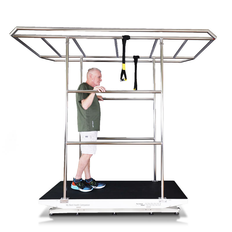 Whole body vertical gait training platform