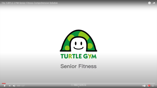 The TURTLE GYM Senior Fitness Comprehensive Solution