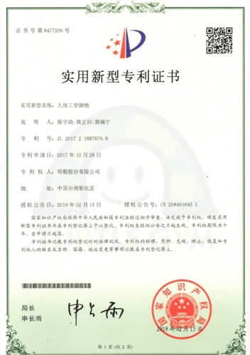 Certificato - Brevetti di cuscino per testa e gambe