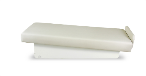 WBPA (Whole Body Periodic Acceleration) Bed