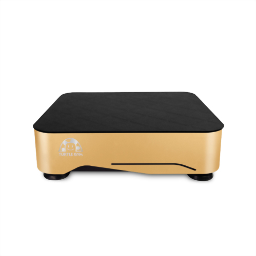 Whole Body Vertical Vibration Equipment