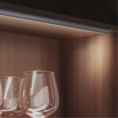 Surface Mounted Lights