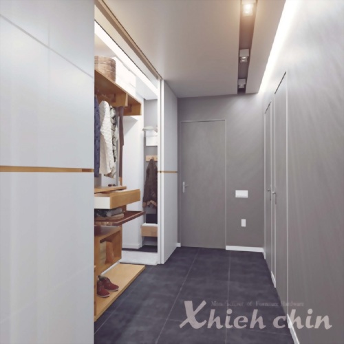 Stainless Steel Barn Sliding Door