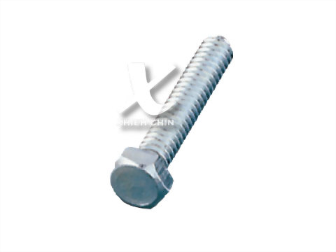 Hex Head Cap Screw