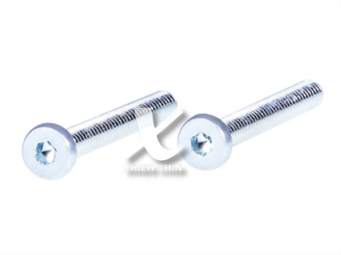 Socket Screw-A0379