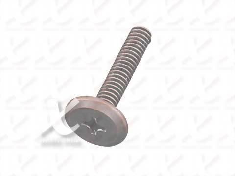 Phillips hold bevel screw