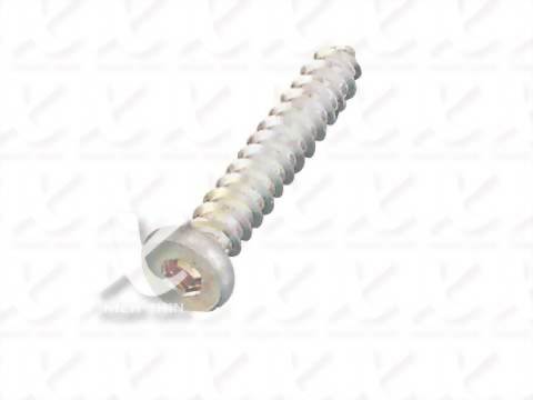 Socket Pancake Head Wood Screw
