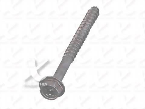 Washer Head-Self Drilling Screw