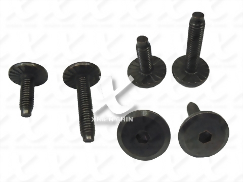 Hexagon Socket Screw