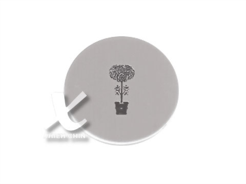 STAINLESS STEEL BUTTON