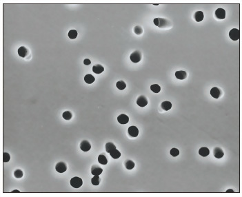 聚碳酸脂過濾膜