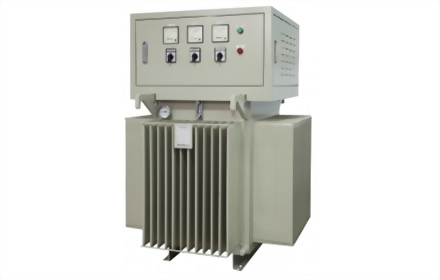 Induction Electronic AVR / Stabilizer (PLR)
