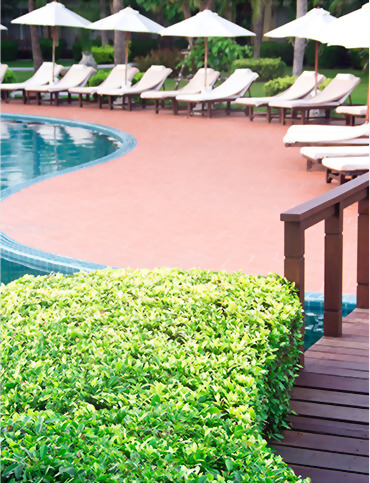 Hedge Trimmer (Single Blade)