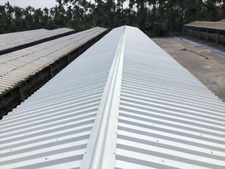 Project Achievement 13-Chicken Coop Renovation