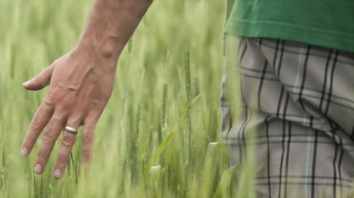 环境合规性与产品可持续性