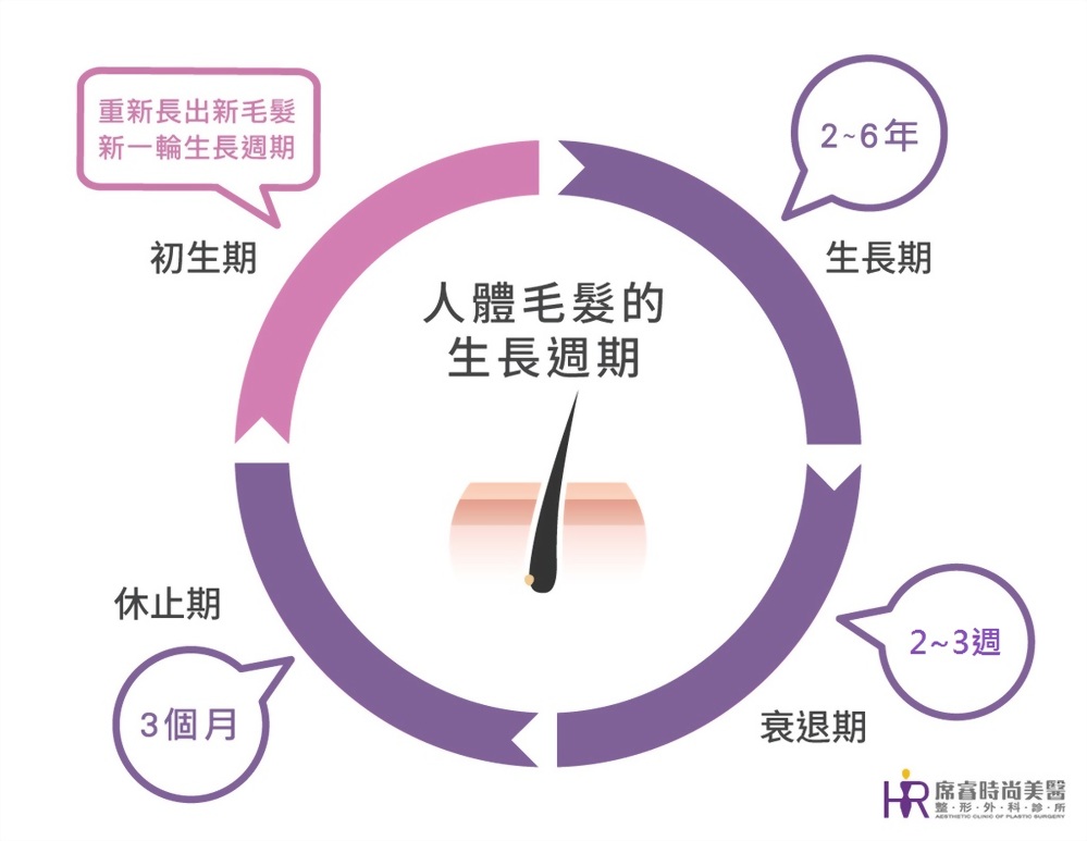 如何避免女性落髮危機