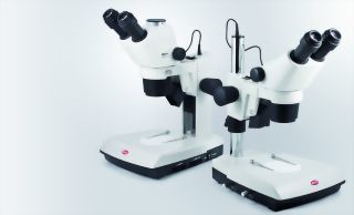 實體顯微鏡