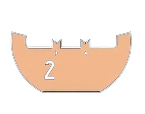 FIB Lift-Out Grids網格 FIB Lift-Out Grids網格