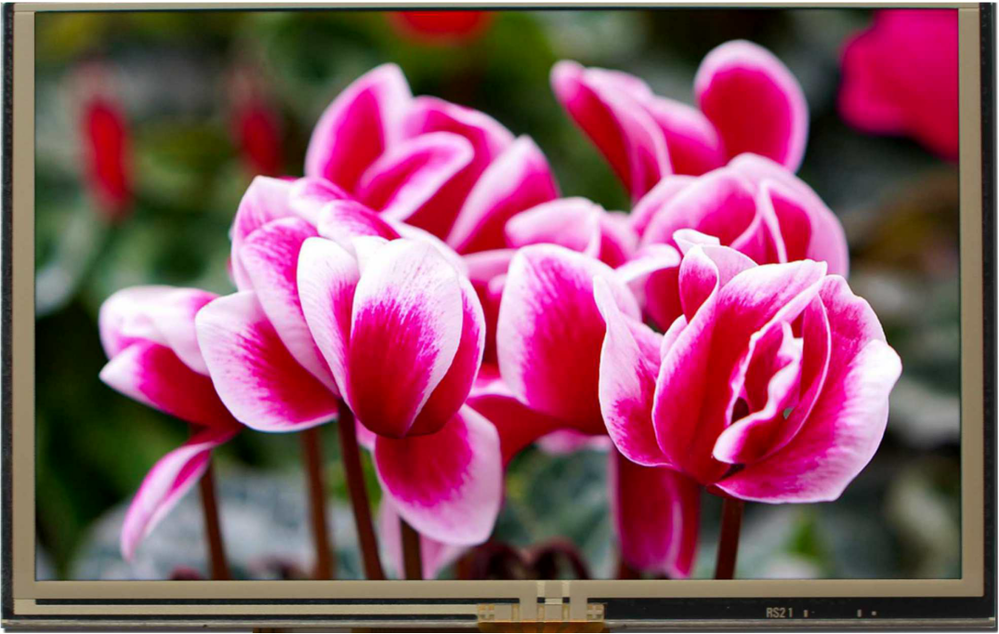 5.0 inch 800x480 TFT Display, BTC050AB-GWR$