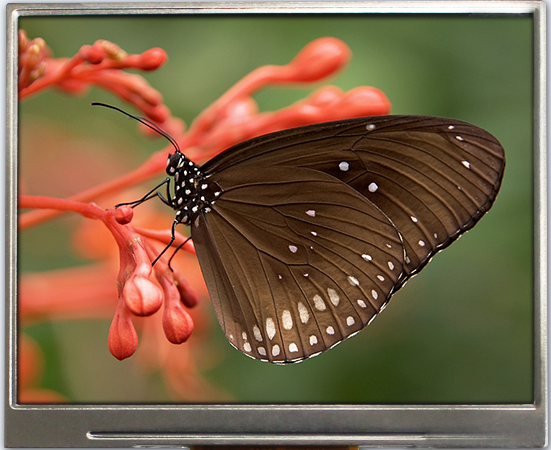 3.50 inch 320x240 TFT Display, BTF035A-AWN$