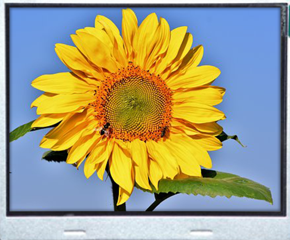 3.50 inch 320x240 TFT Display, BTF035B-BWN$