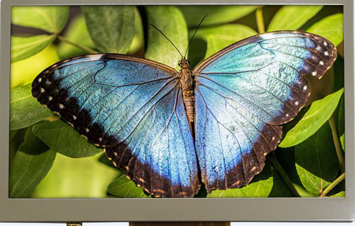 4.30 inch 480x272 TFT Display, BTF043B-AWN$